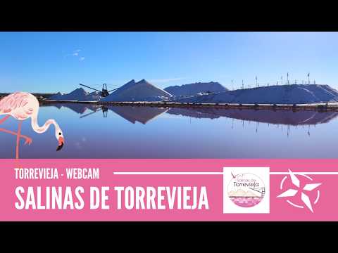 Torrevieja - La Mata Beach live cam