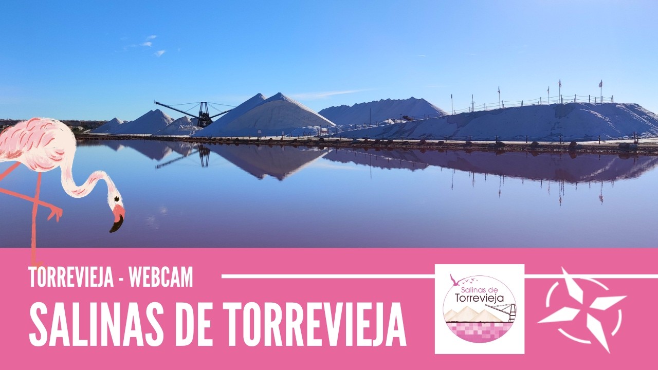 Live webcam view of Salinas de Torrevieja Pink Salt Lake