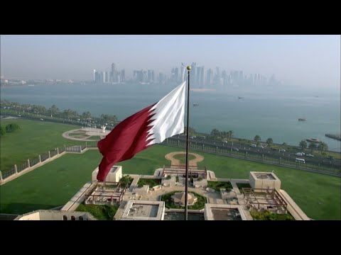 الفيديو