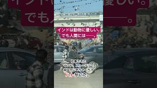インドは動物に優しい。でも人間には──。
