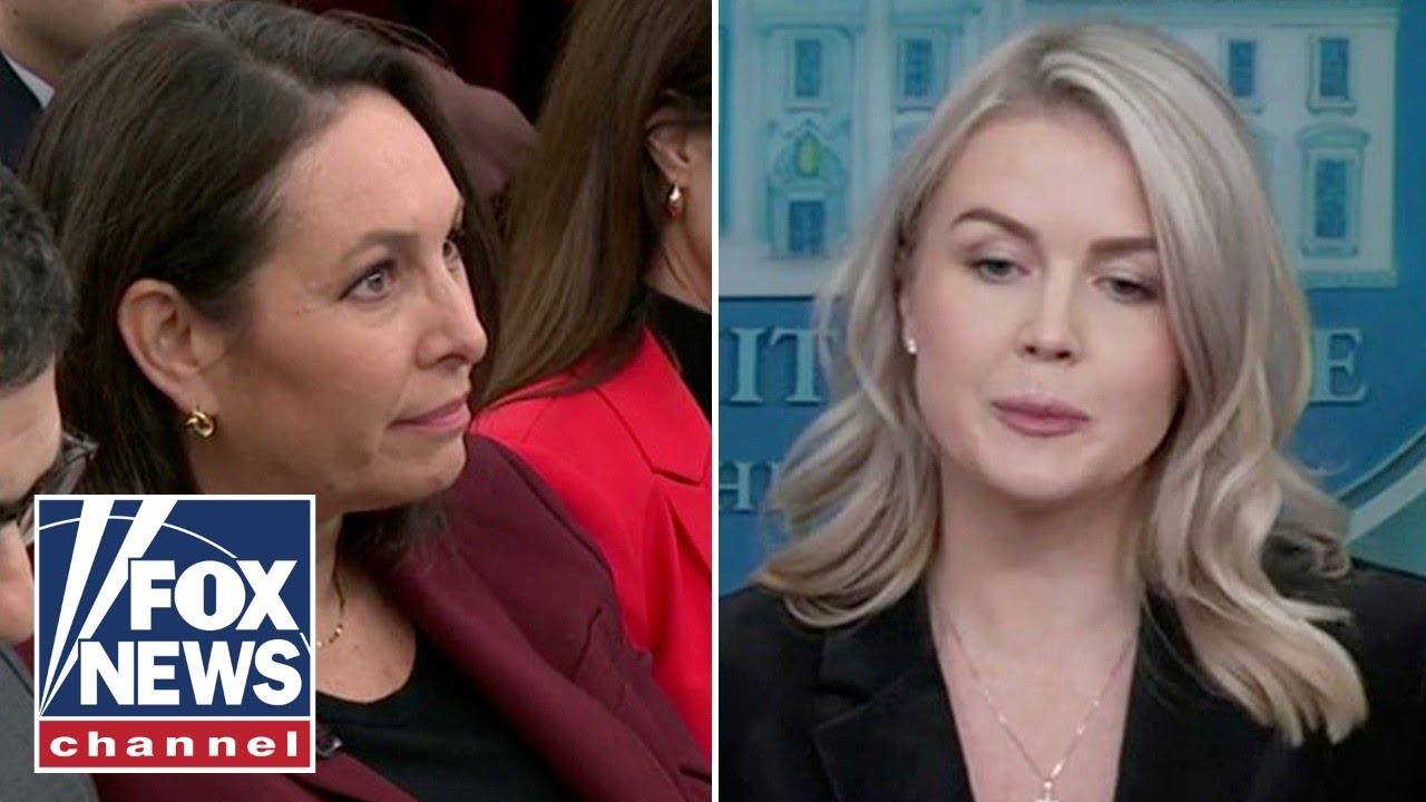 Leavitt SPARS with reporter after Trump calls Dems 'traitors'