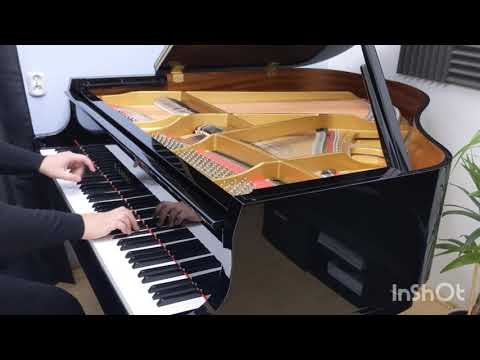 Tchaikovsky "June" Barcarolle (4K)