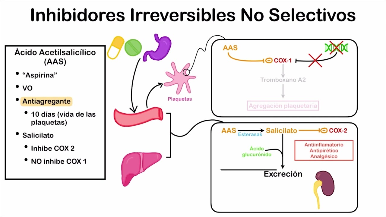 ASPIRINA - Inhibidores Irreversibles No Selectivos (Ácido Acetilsalicílico) - AINES Parte 3