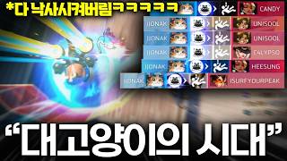 고양이로 경쟁전 바로 해보겠습니다