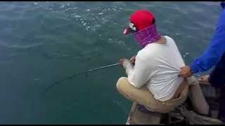 Abu garcia vendetta cork spin