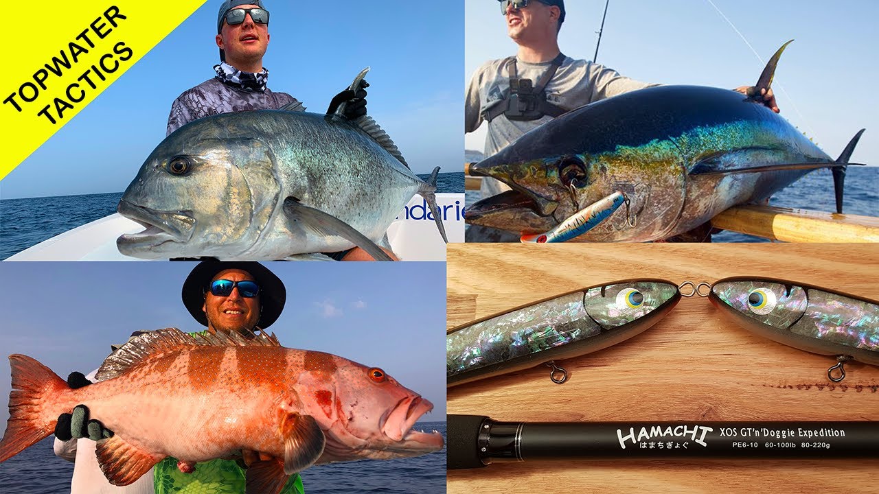 Topwater poppering tackle tips & tactics for GTs Tuna & Cubera . Boats & land-based - Crazy big fish