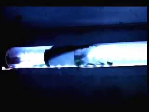 Funktion der RÜCKSTAUSICHERUNG STOP SILENT light im Abwasserrohr mit Fäkalien