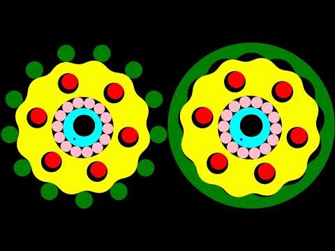 Multi Speed Animation of Cyclo(left) and Gerotor(right)  Drives