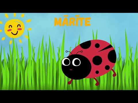 Mācāmies kukaiņus latviešu valodā| Kukaiņi Latvijā| Learning insects in Latvian| Bugs