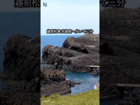 水族館が見える宿【東尋坊 三国温泉 お宿あらや／越前蟹の宿】#ホテル #旅館 #民宿 #旅行 #東尋坊 #越前蟹 #温泉 #水族館