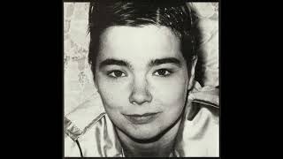 The Sugarcubes - Tidal Wave (Audio) Live @ The Mayfair, Newcastle, UK, October, 19th (19-10-1989)