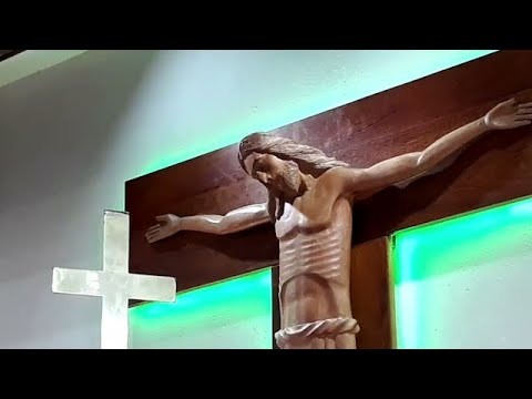 Santa Missa - 15º Domingo do Tempo Comum - 12/07/2020