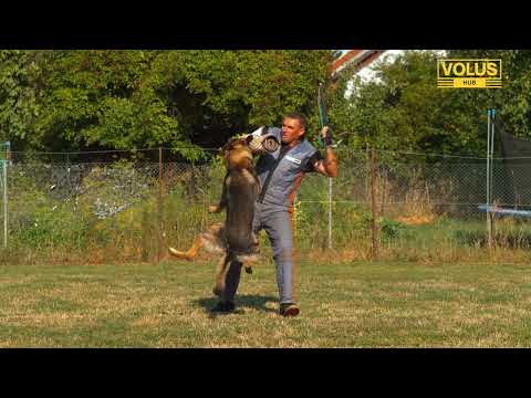 Dog attack training, Ultra Slow Motion