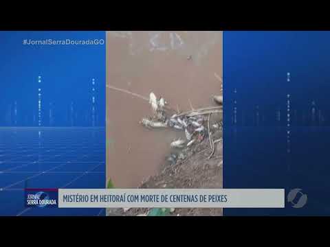 Mistério em Heitoraí: morte de centenas de peixes