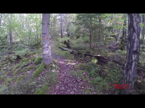 Tarstaborgsrundan 2021 - 9 km (Löparperspektiv)