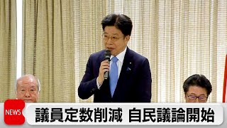 自民党 議員定数削減の議論着手「定数削減早急に結論」