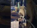 Sometimes You Re Just So Sure Shortsfeed Oddlysatisfying Cleaning