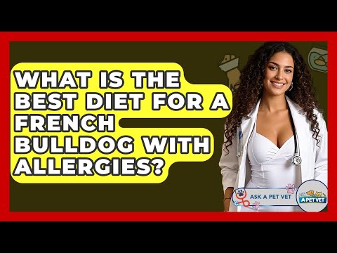 What Is The Best Diet For A French Bulldog With Allergies? - Ask A Pet Vet