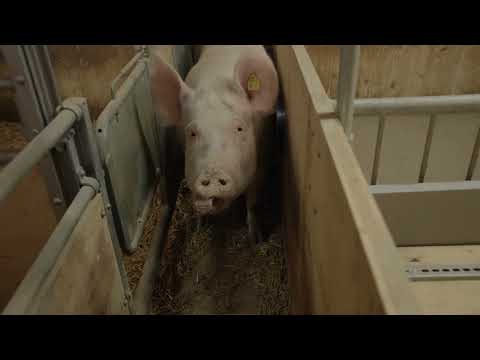 PROMO 'ONZE BOERDERIJ INTERNATIONAAL'