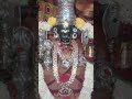 Vekkaliamma Mother S Love