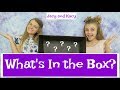 What's In the Box Challenge ~ Jacy and Kacy What's In the Box Challenge ~ Jacy and Kacy