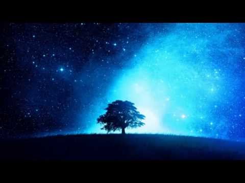 Chris.SU (Ft. Mira) - Together In The Night