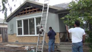 США 458: особенности собачьей жизни - вверх по стремянке