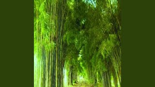 Download lagu Suara Serangga di Hutan mp3
