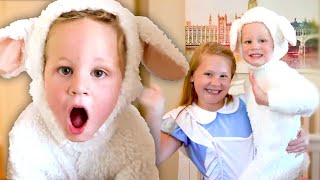 Mary Had A Little Lamb | Nursery Rhymes for Kids |