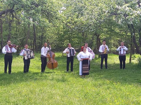 Ioana Luguzan Roxin  si Orchestra Fratii Sandru - De atata dor si drag