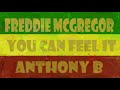 you can feel it by Freddie McGregor