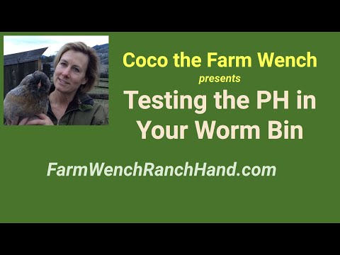 Worm Bin: Testing the PH