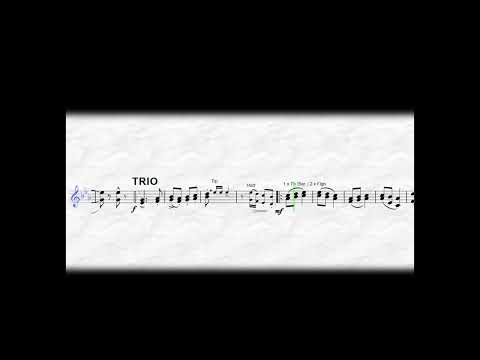 Böhmisches Feeling - Hergolshäuser Musikanten