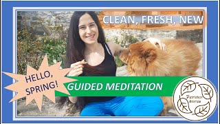 Guided Meditation to Let Go || Mind and Breath Exercise to Feel Fresh & Clean (Ft. Fluffy Doggo)