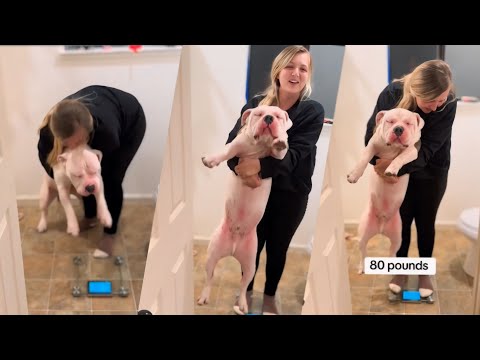 Fails of The Week  😂  EP:21  |  Funny Fails  | Fail Army.   Compilation funny videos