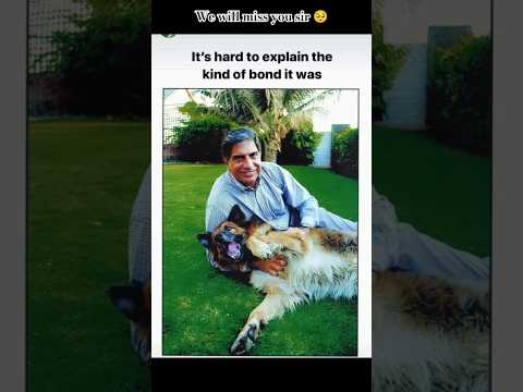 Who'll care for these innocent souls🥺💔Such a good hearted person💔#yt#shorts#trending#viralvideo#yt