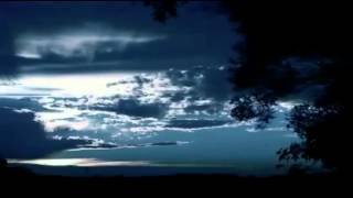 The Dells  I CAN SING A RAINBOW (cover) 1970