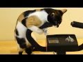 Mitzi Vs The Exercise Bike