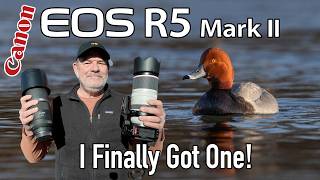 Canon R5 Mark II Bird & Wildlife Photography with 100-500 and 800mm Lenses!