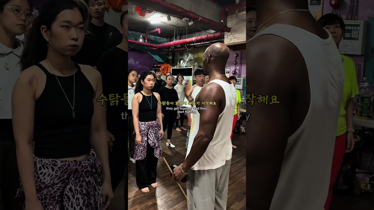 What is Columbia? 🇨🇺🐓