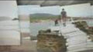 The Pigeon Detectives - Everybody Wants Me (official video)