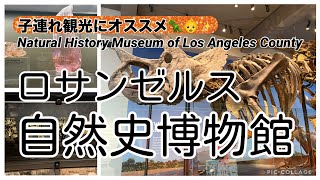 【子連れにオススメ💖👶】ロサンゼルス自然史博物館vlog🦖