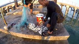 THAILAND UNFILTERED 16.. NET FISHING IN THAILAND.KOH PHAYAM.