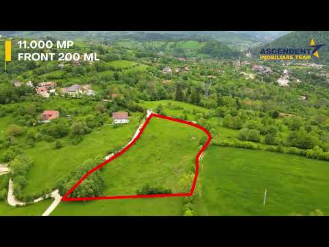 Film! Domeniu pe 11.000mp intravilan, panorama montana,Bran,Sohodol — Video