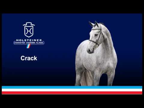 Holsteiner Verbandshengste 2019 - Crack