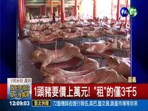 豬價飆漲!省荷包 神豬用"租"的