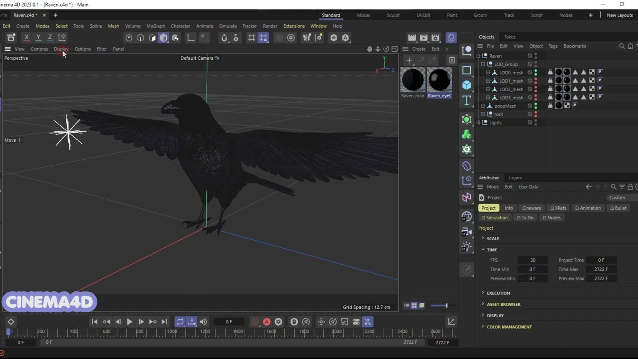 Corvo animato realistico Modello 3D