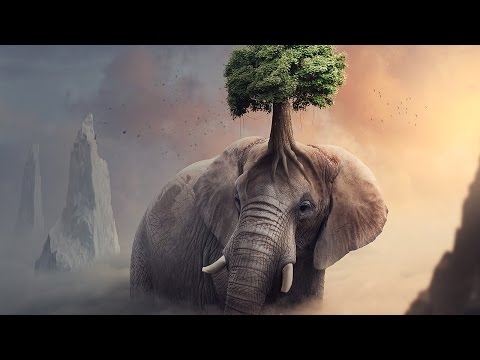 Fantasy Elephant Tree Photoshop Manipulation Tutorial