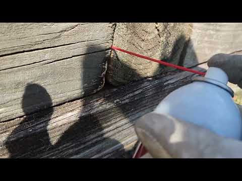 Railroad Ties Infested with Yellow Jackets...