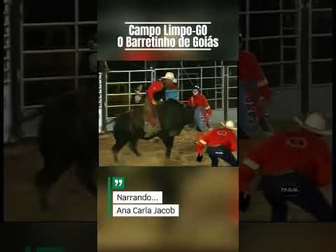 Joelson Cardoso de Iaciara-GO no Rodeio em Touros de Campo Limpo de Goiás 2008 Cia João Palestino